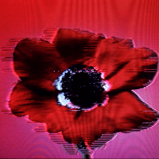 Flower #01