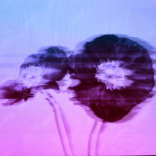 Flower #28 (The Flowers Project) by Jules