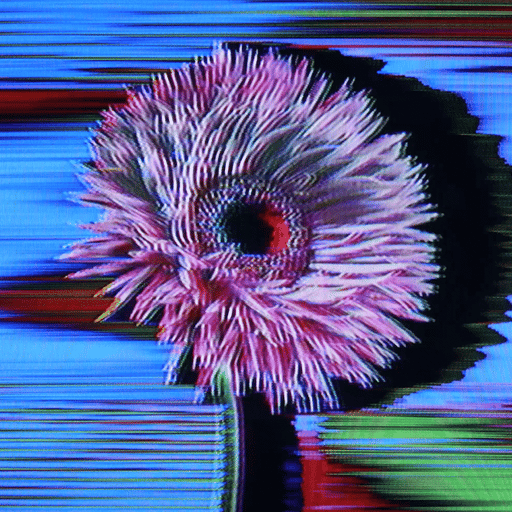 Flower #06 (The Flowers Project) by Jules