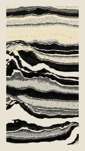 Meridian with Style Polarized