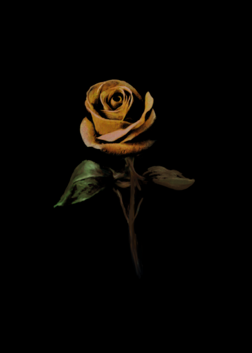 The Ethereal Rose by Alpha Centauri Kid