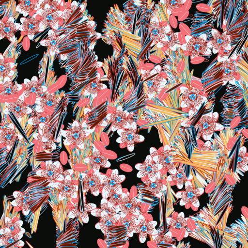 Fragments of an Infinite Field by Monica Rizzolli
