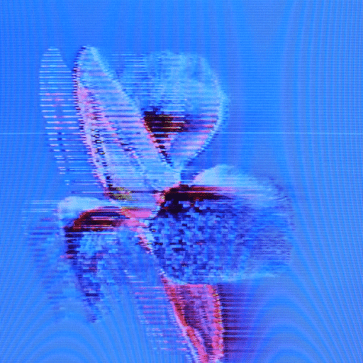 The Flowers Project by Jules
