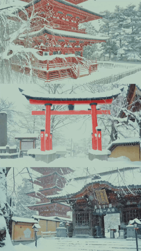 Shinsei | 神聖 by Ilan Derech