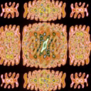 Math Art (1980-1995) by Herbert W. Franke