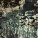 Untitled Film Stills by Casey REAS