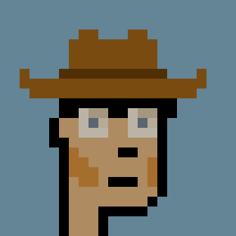 CryptoPunks with Accessories Cowboy Hat