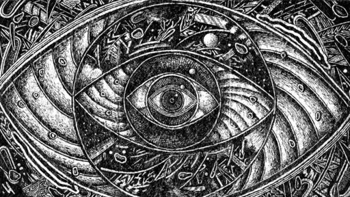 Night Vision by Jake Fried