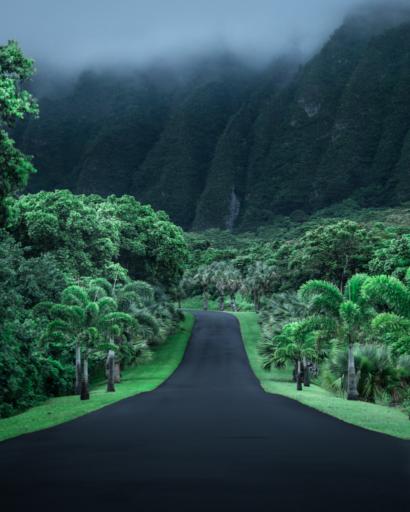 #FreeHawaiiPhoto by Cath Simard